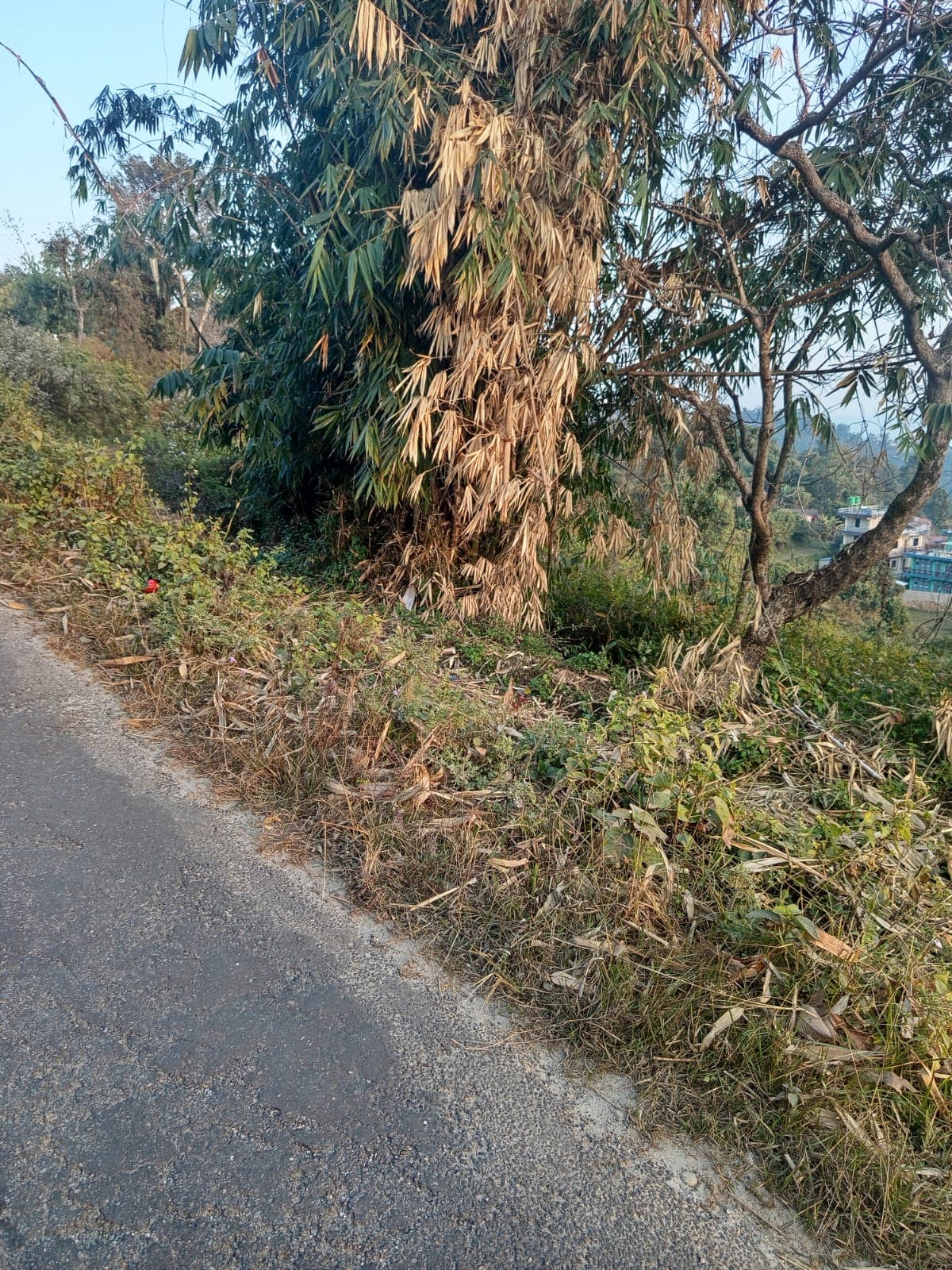 Land for sale in Bijayapur