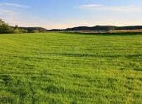 Land for sale in Gharipatan