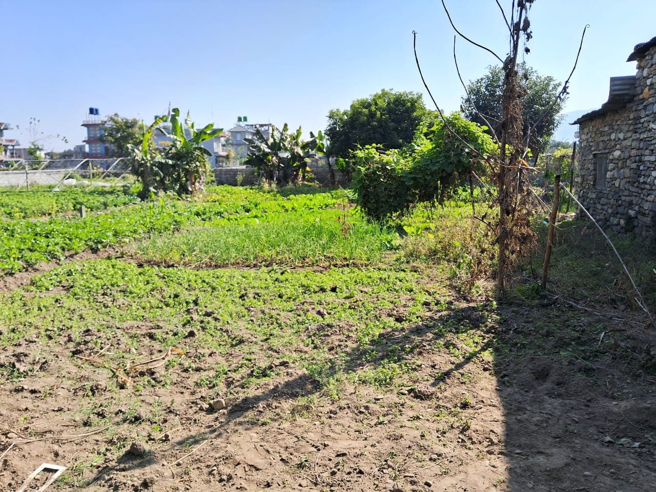 Land for sale in Chinedada