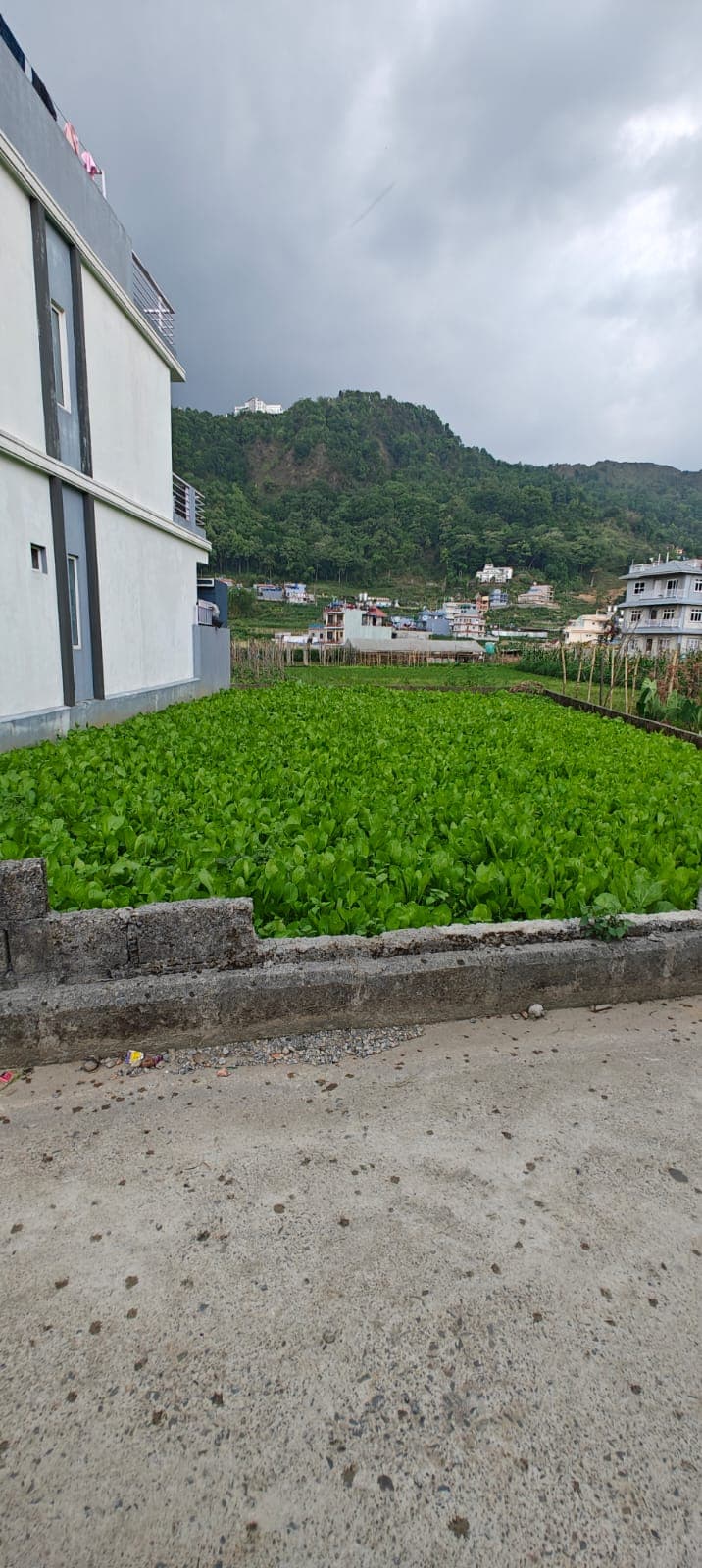 Land for sale in Malepatan