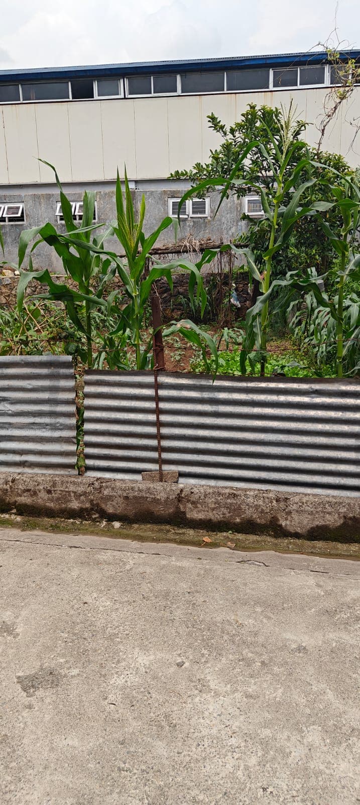 Land for sale in Parsyang