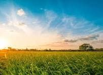 Land for sale in Amardeep