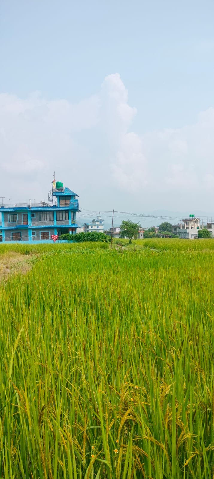 Land for sale in Rithepani