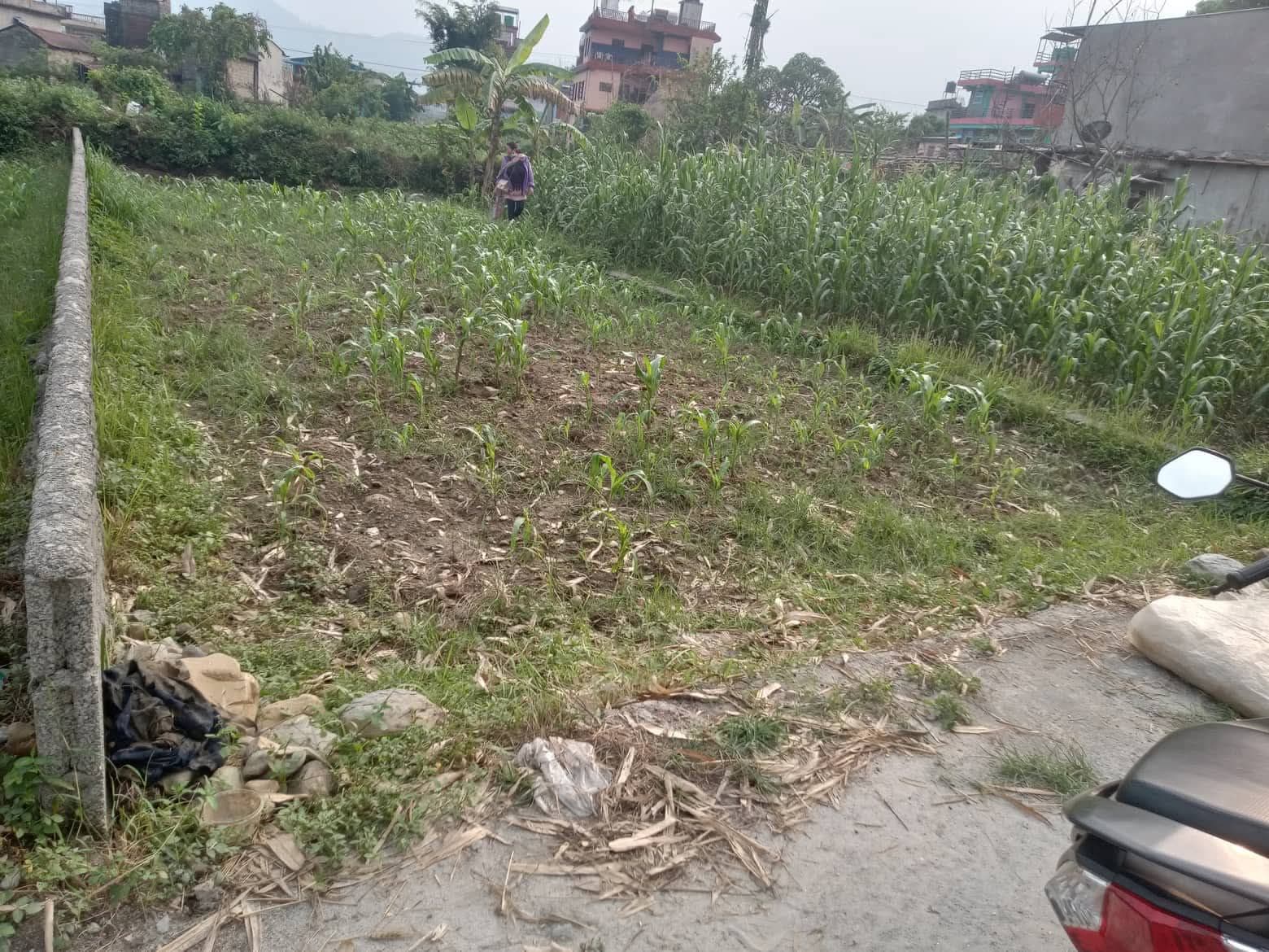 Land for sale in Sishuwa