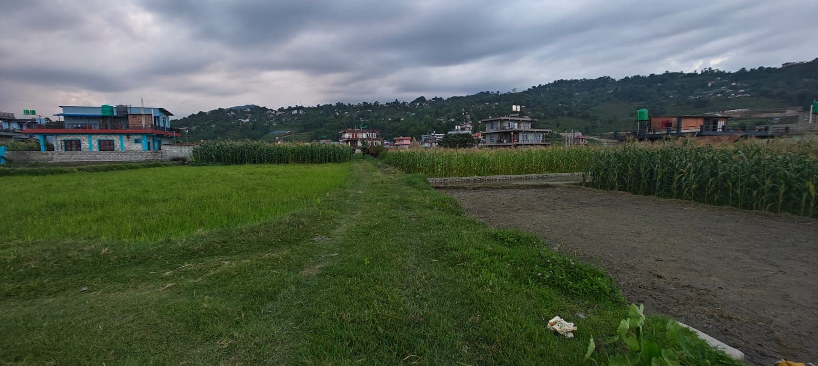 Land for sale in Bijayapur