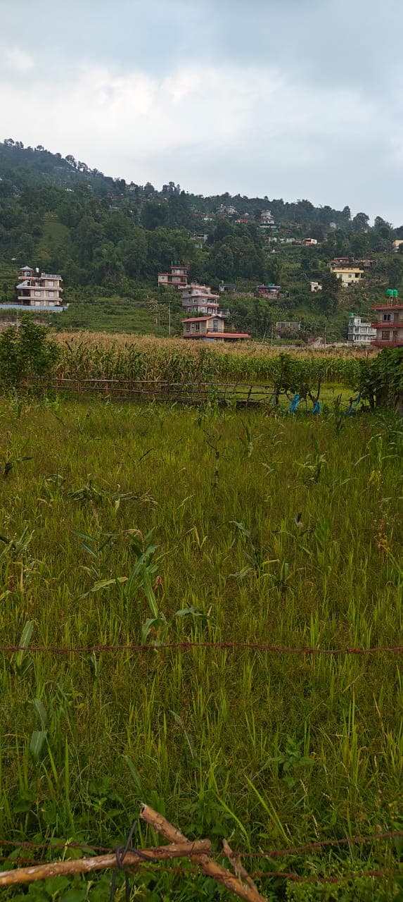 Land for sale in Fulbari