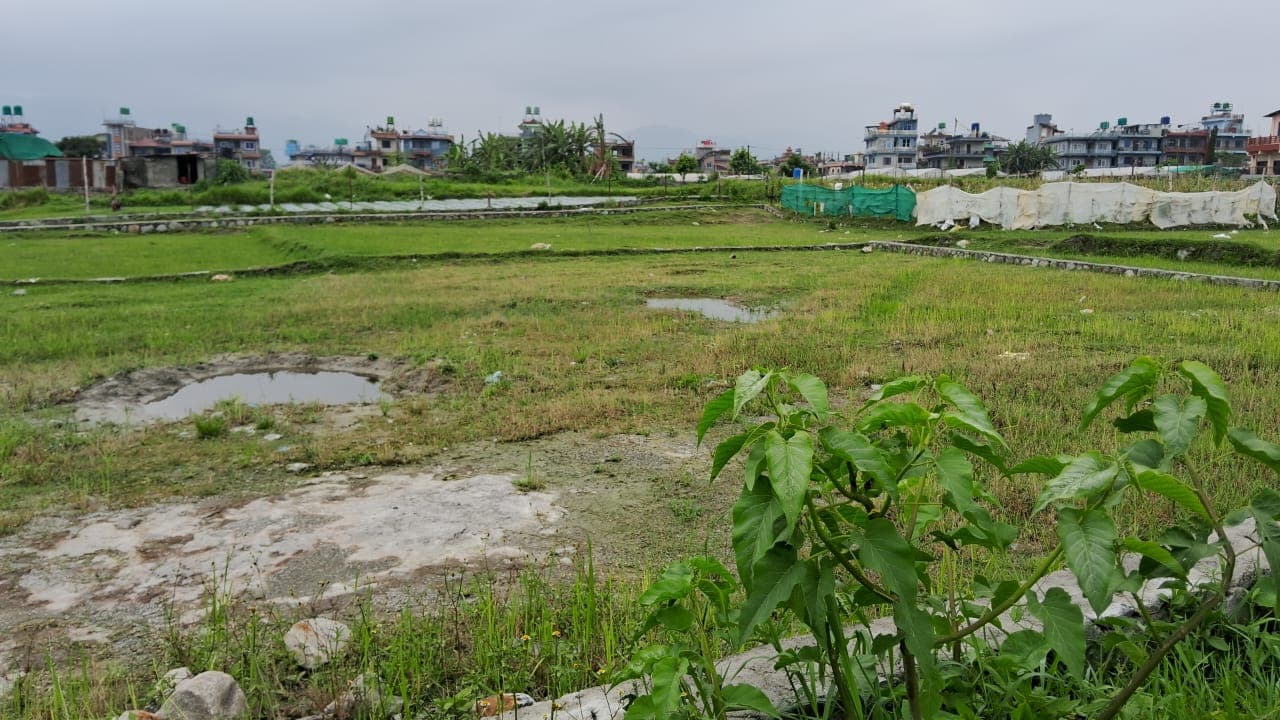 Land for sale in Kajipokhari