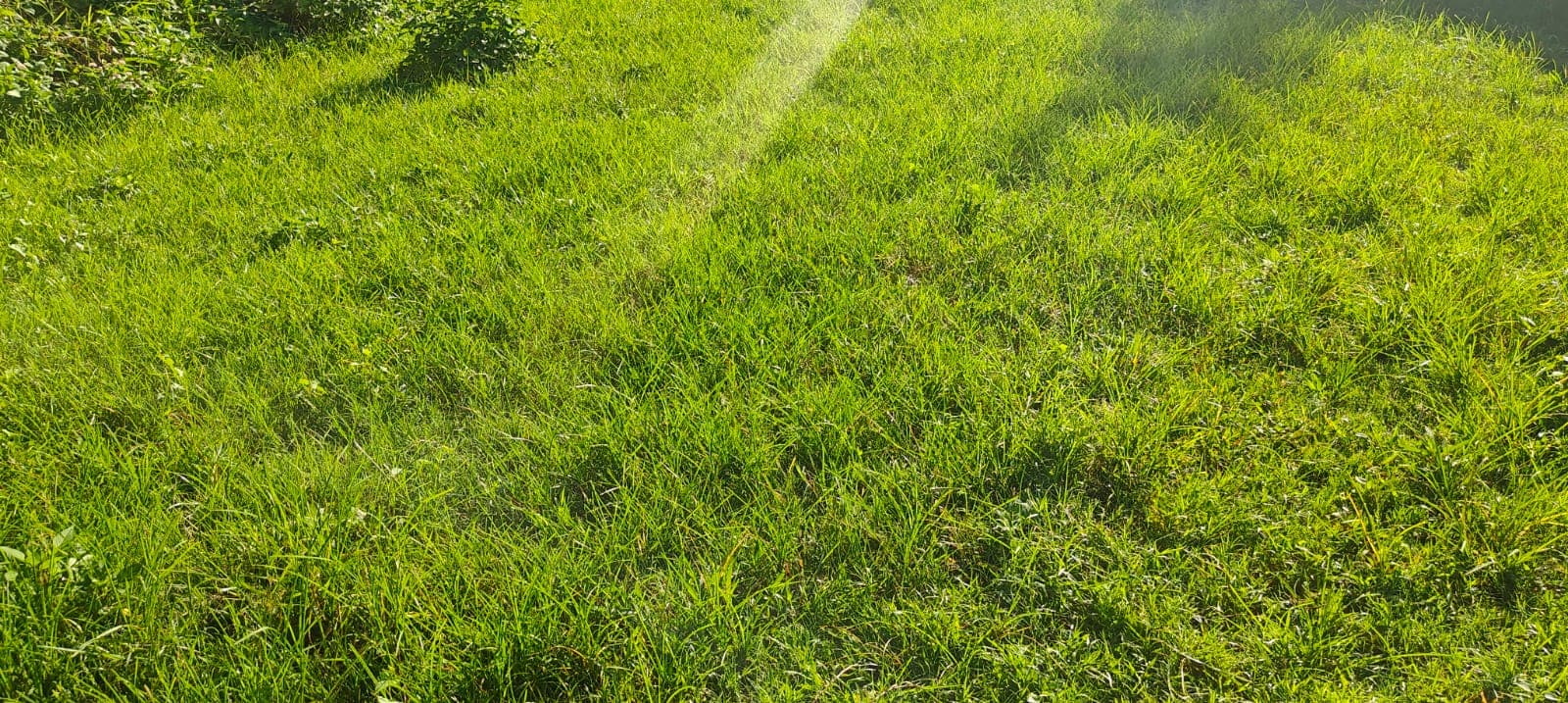 Land for sale in Chauthe