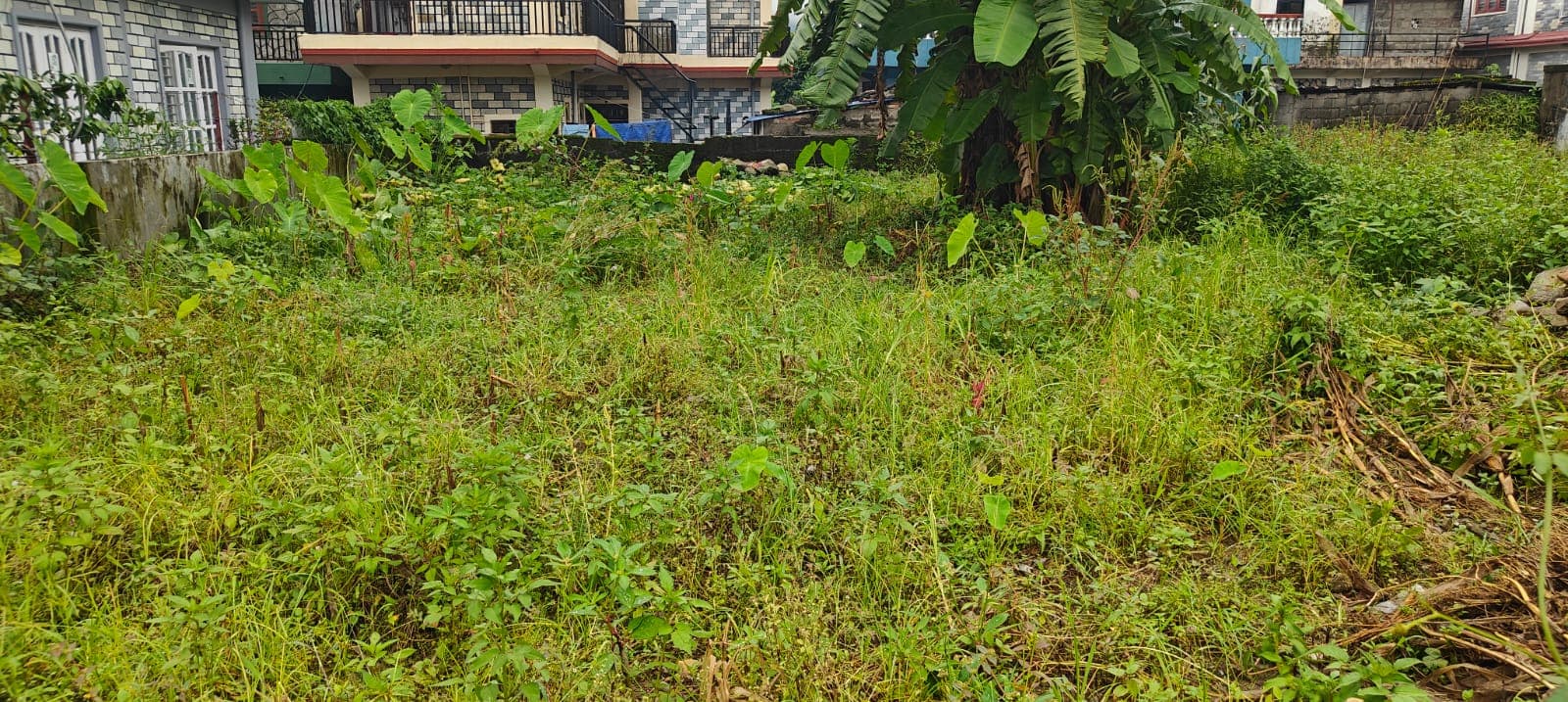 Land for sale in Deep