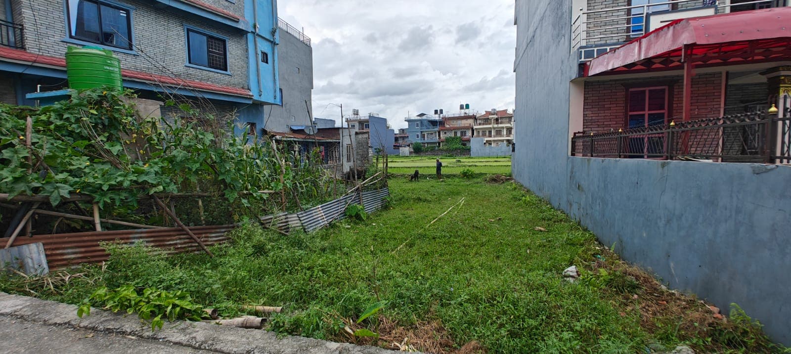 Land for sale in Birauta