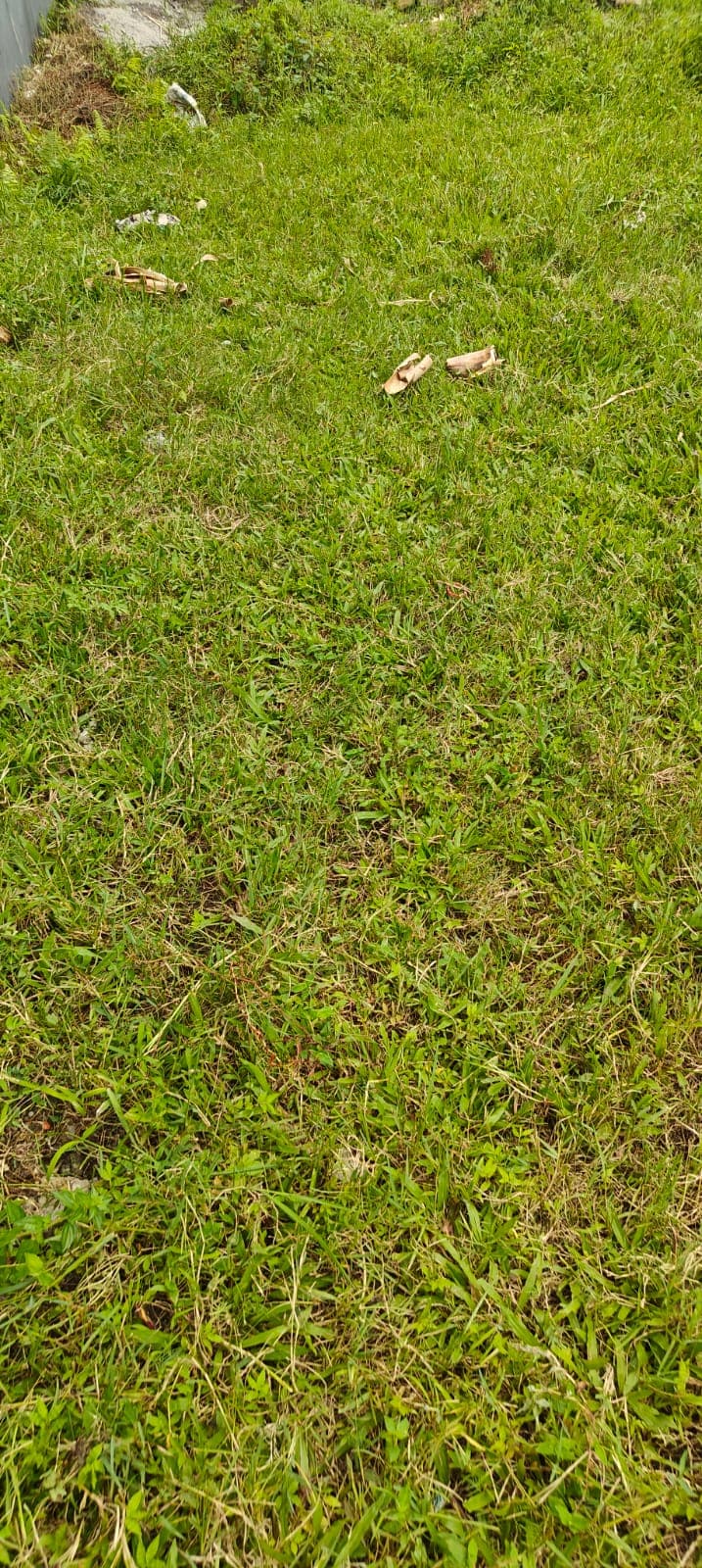 Land for sale in Dihikopatan