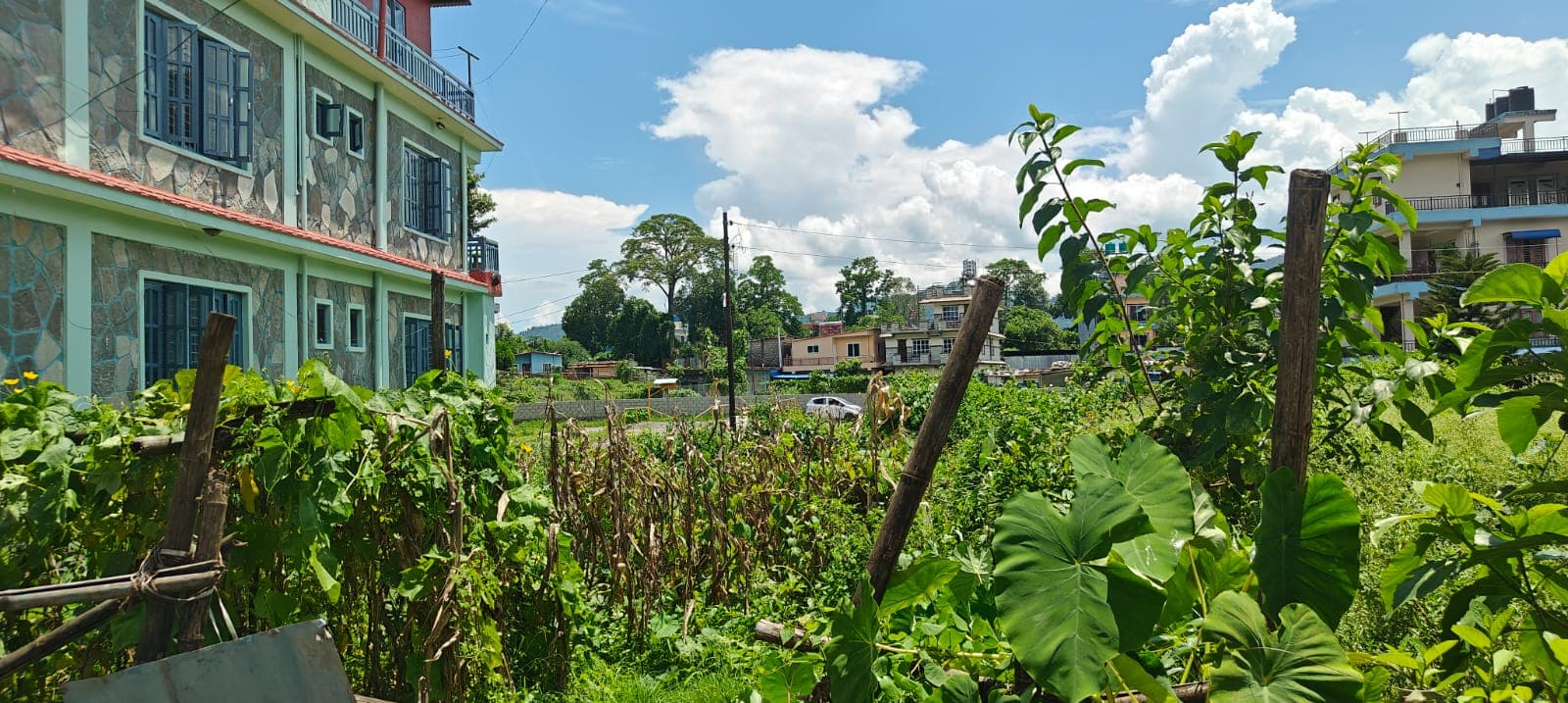 Land for sale in Masbar