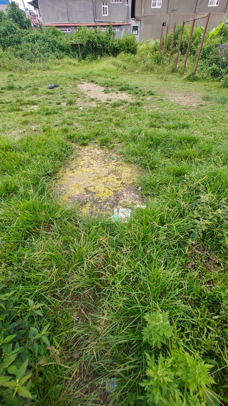Land for sale in Damside