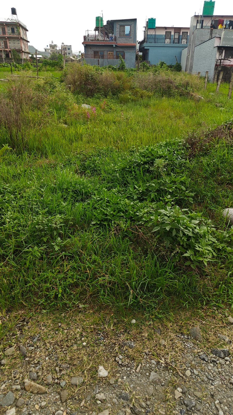 Land for sale in Duikulo Muhan
