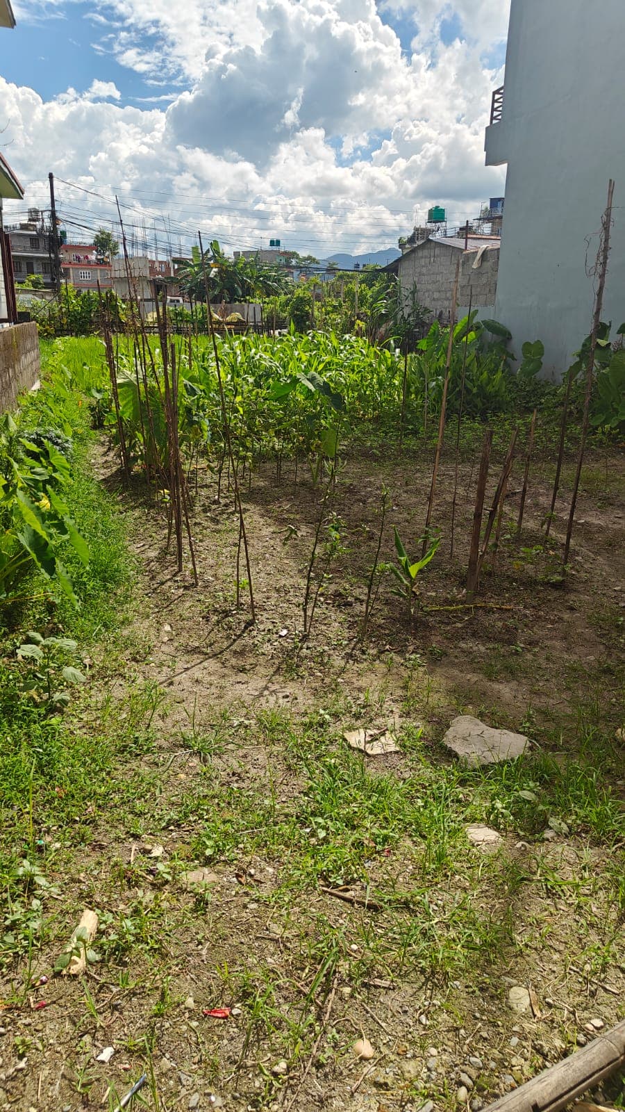 Land for sale in Bhadrakali
