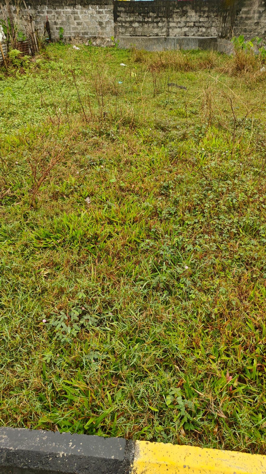 Land for sale in Chauthe