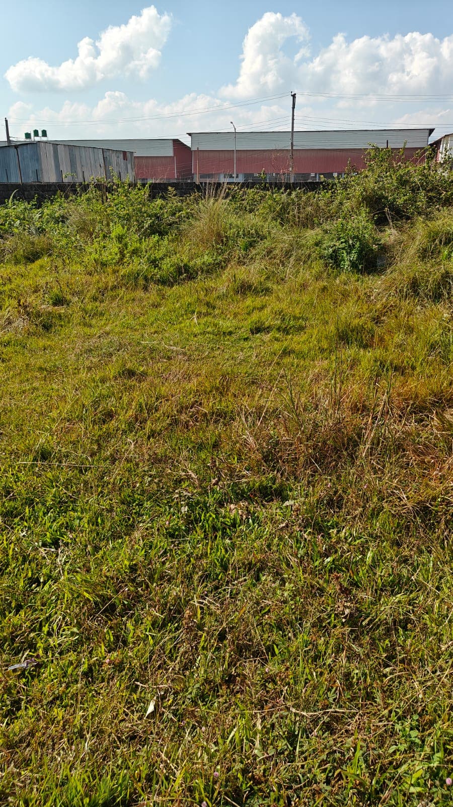 Land for sale in Chauthe