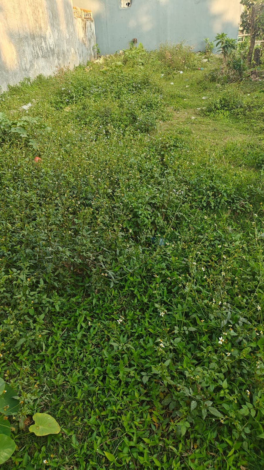 Land for sale in Baglung buspark