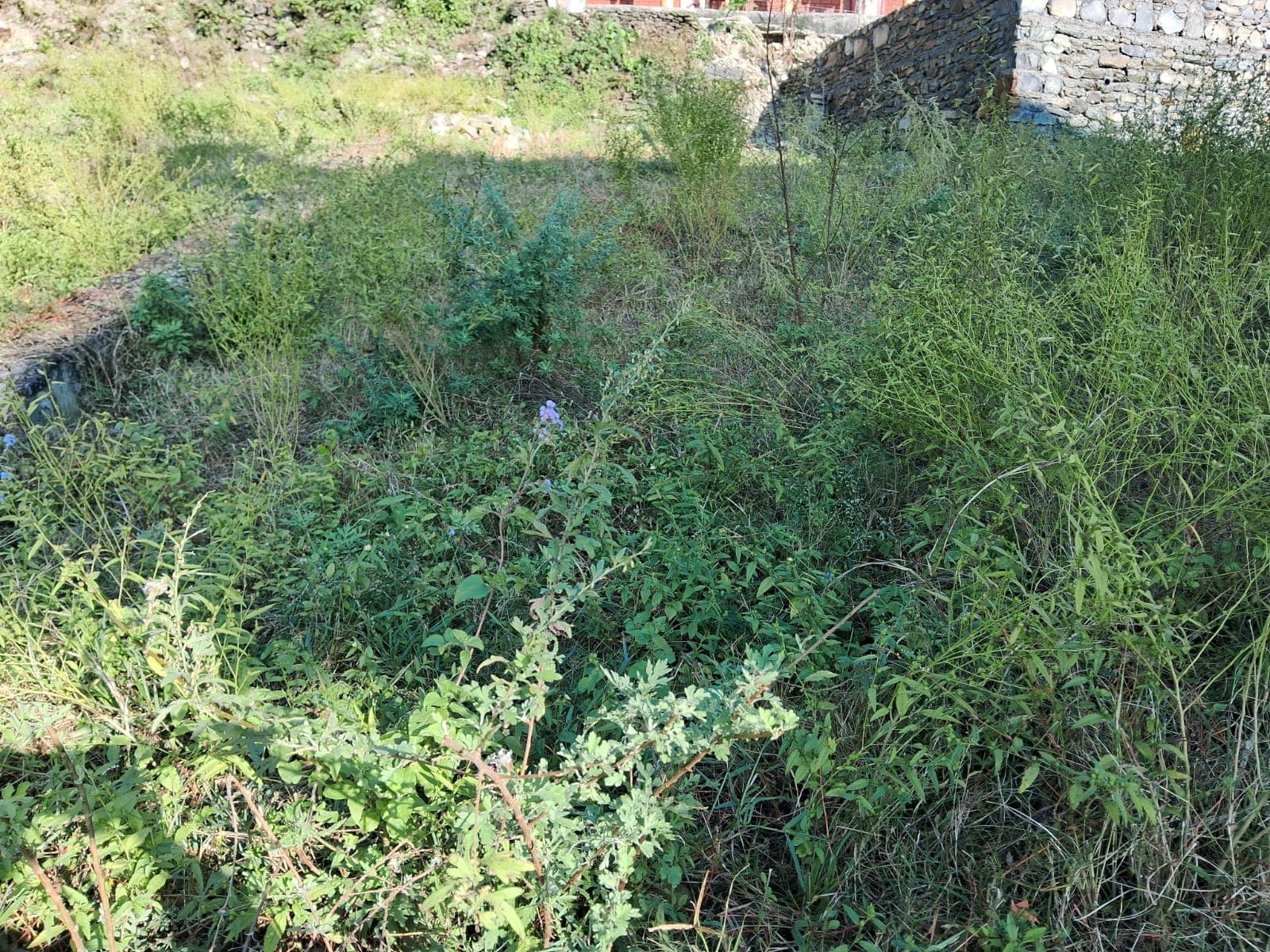 Land for sale in Fulbari