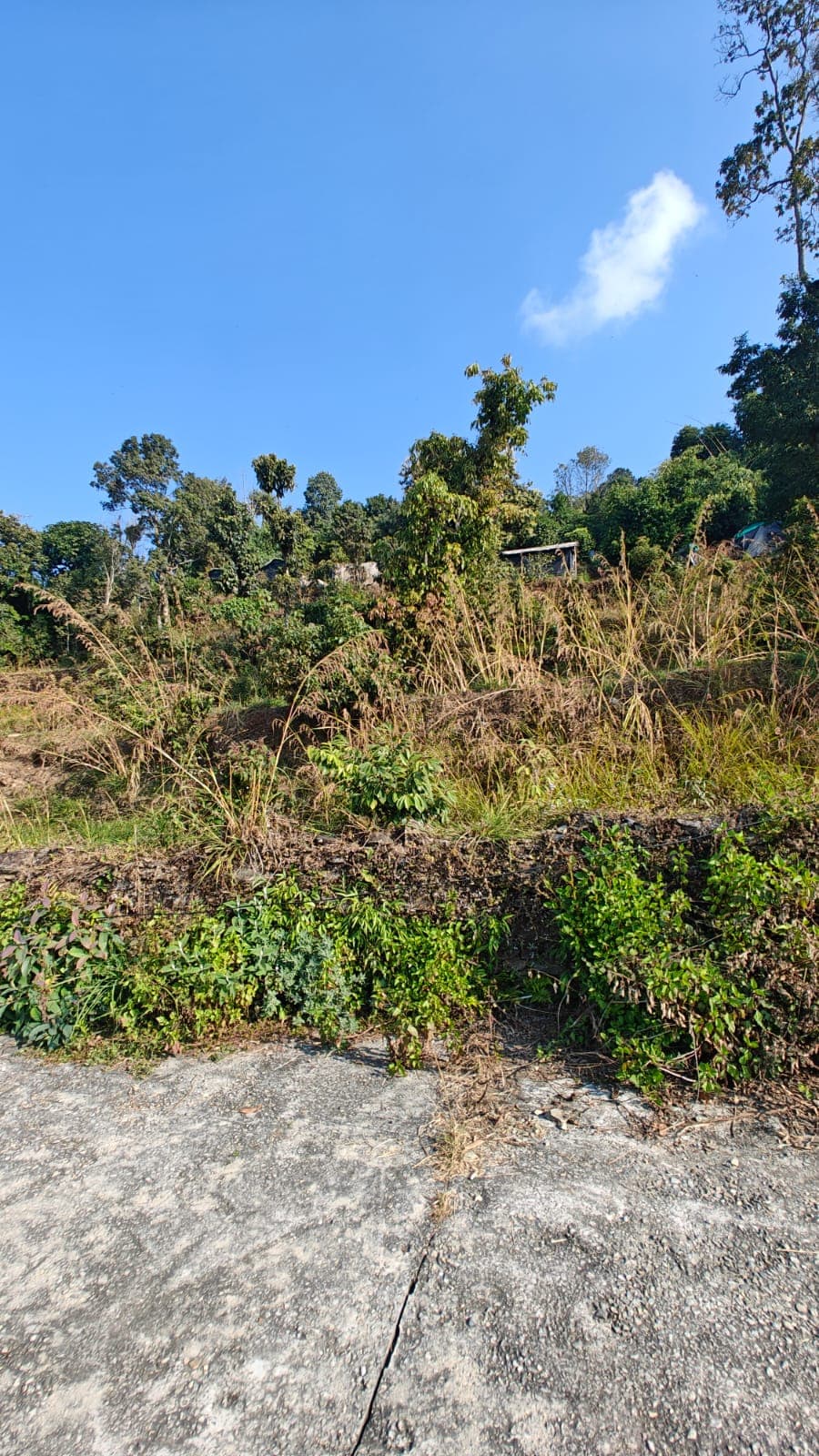 Land for sale in Kaudada