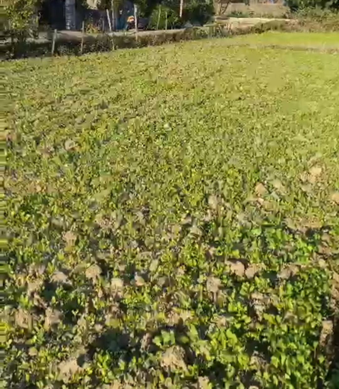 Land for sale in PU-Lekhnath