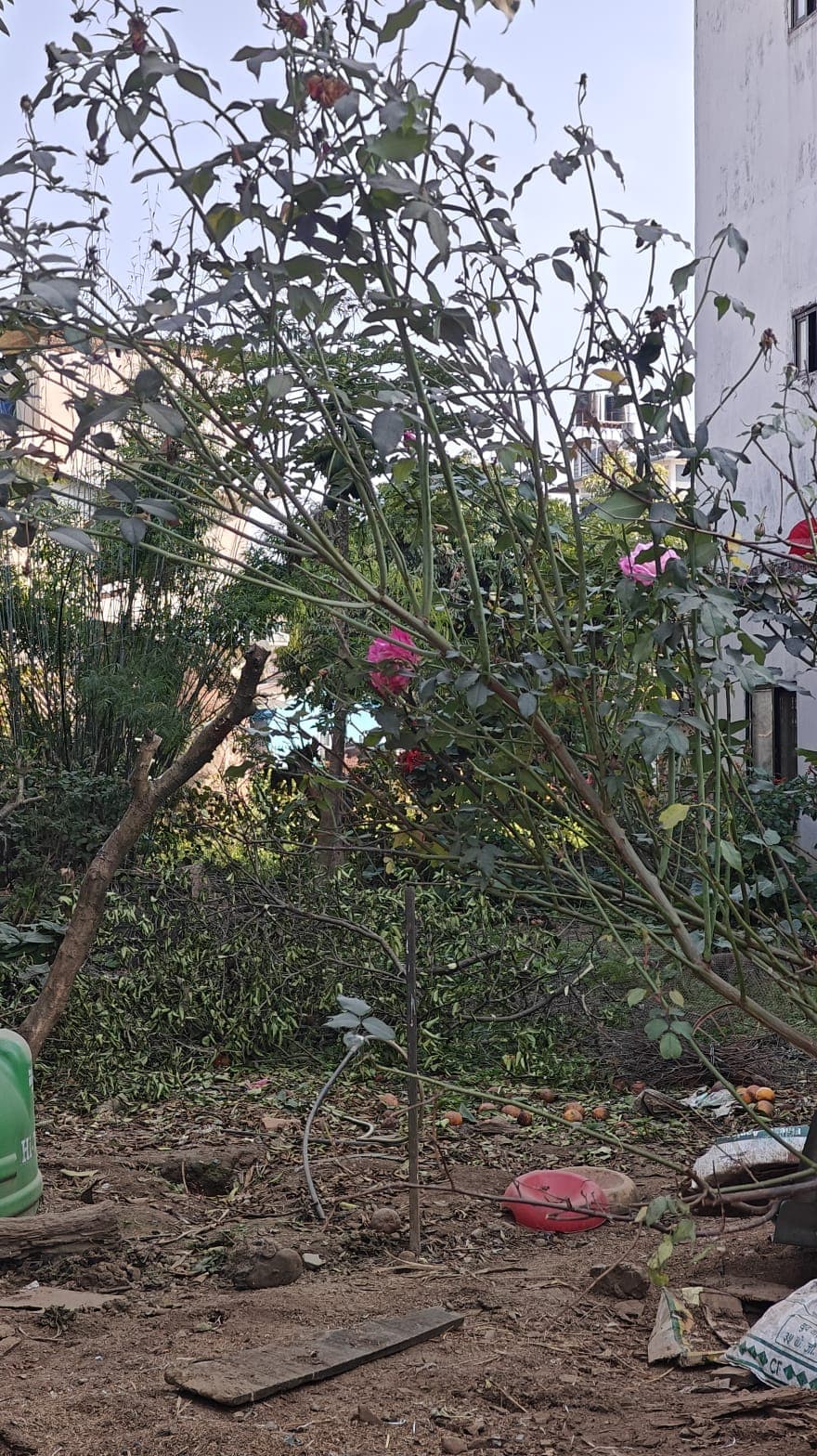 Land for sale in pokhara lakeside