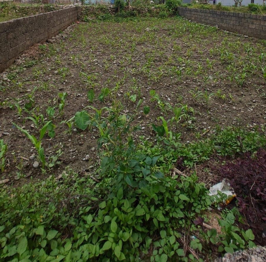 Land for sale in lekhnath