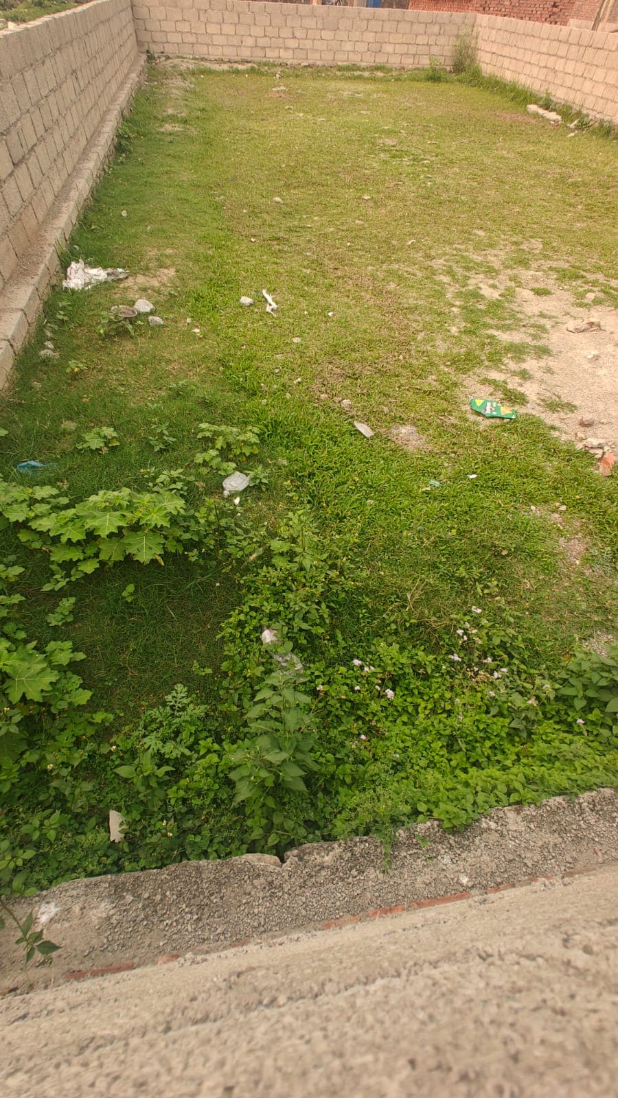 Land for sale in Birauta
