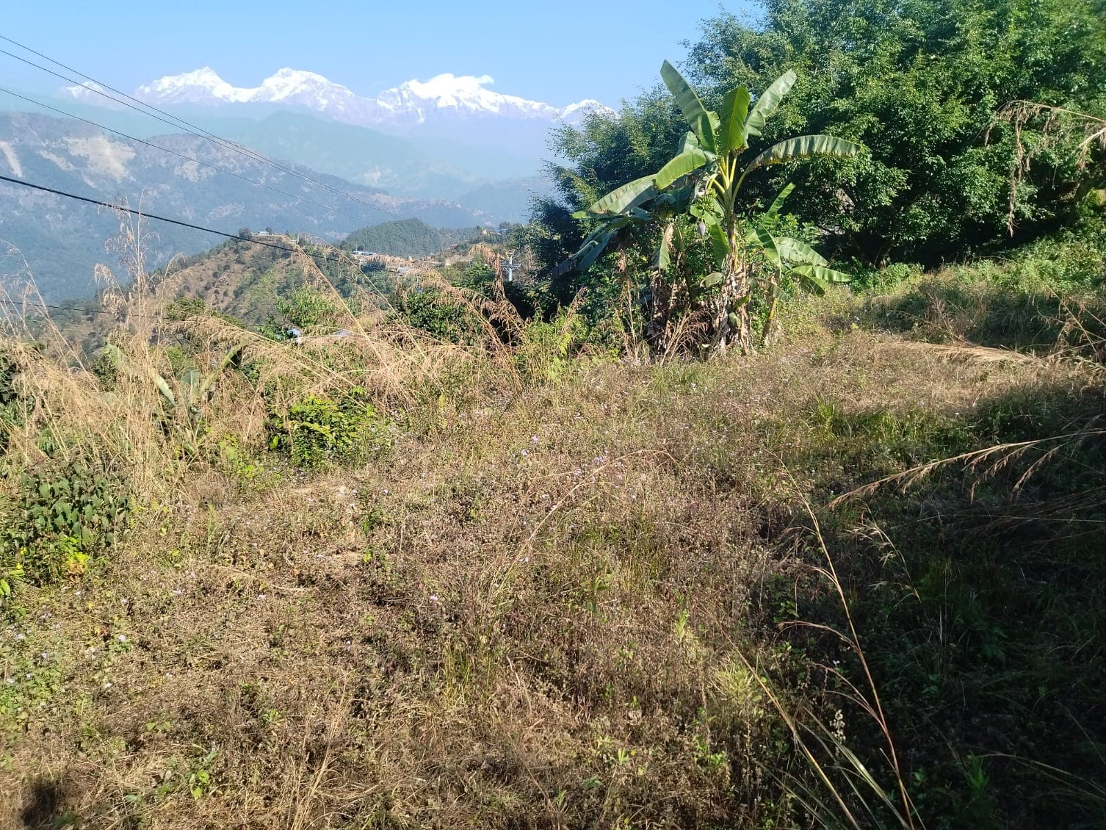 Land for sale in Begnas village