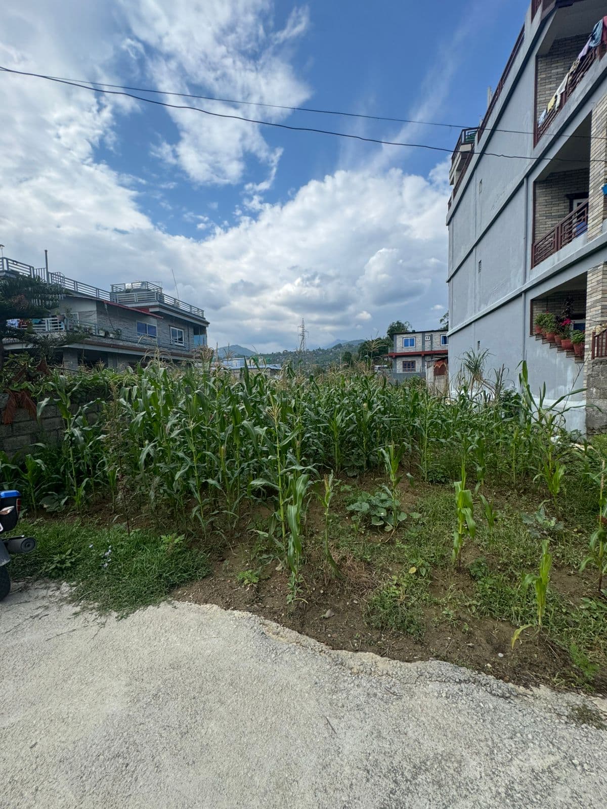 Land for sale in Budibajar