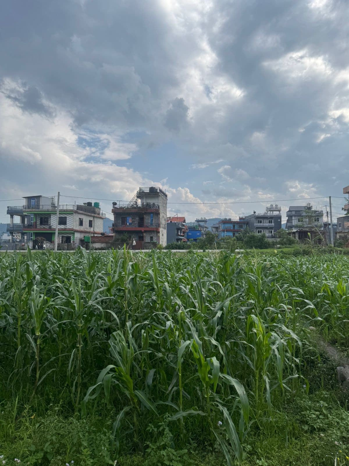 Land for sale in Talchowk laxmi marga