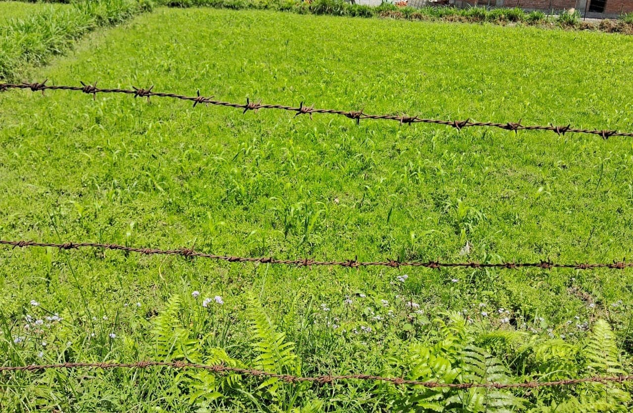 Land for sale in kaukhola