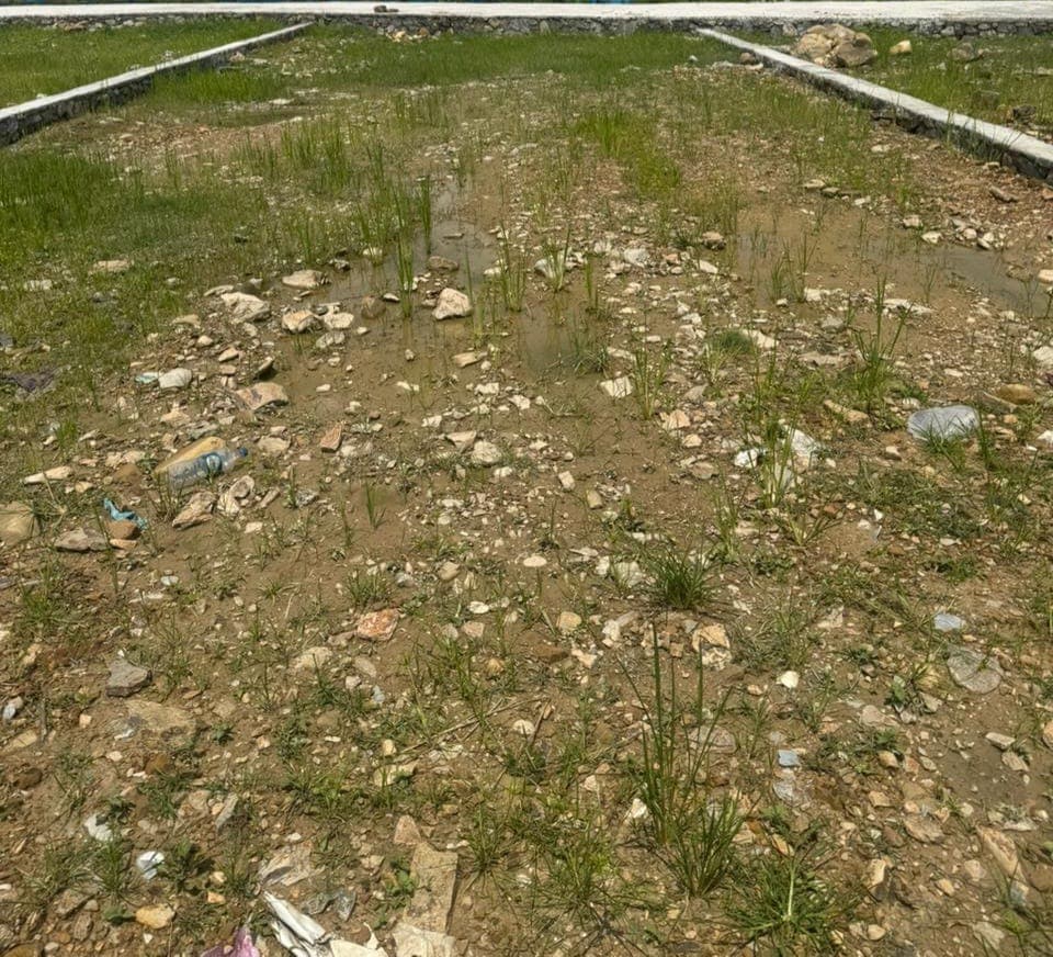 Land for sale in Talchowk