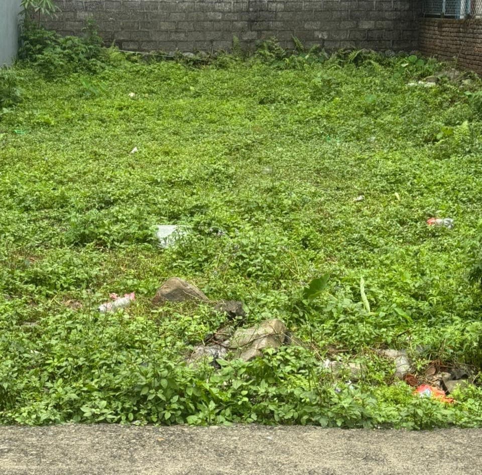 Land for sale in chauthe