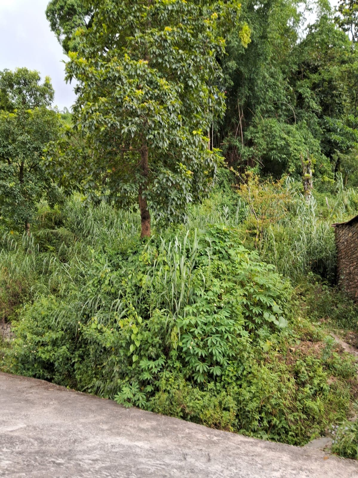 Land for sale in kahudada