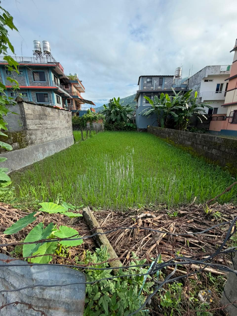 Land for sale in Fulbari Chapapani