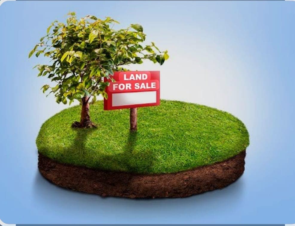 Land for sale in Chauthe, Khashibajar