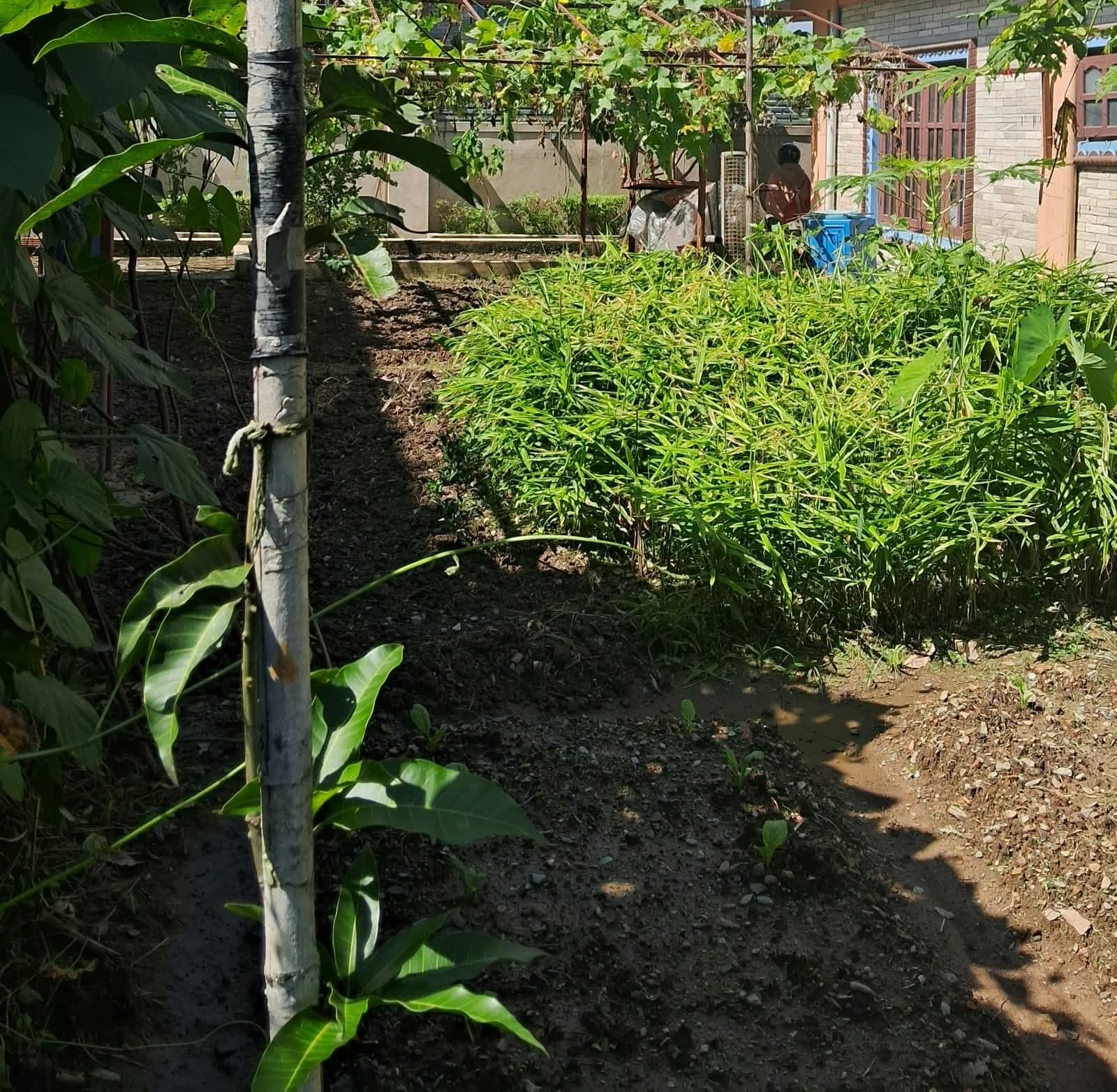 Land for sale in Fulbari 