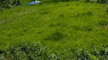 Land for sale in Kajipokhari 