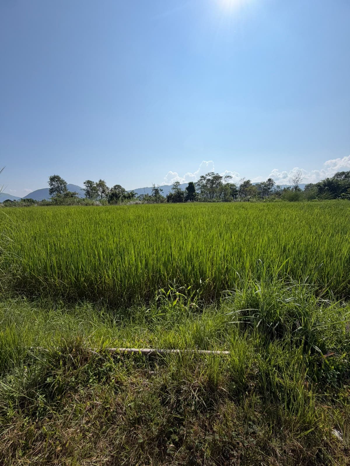 Land for sale in Sishuwa 