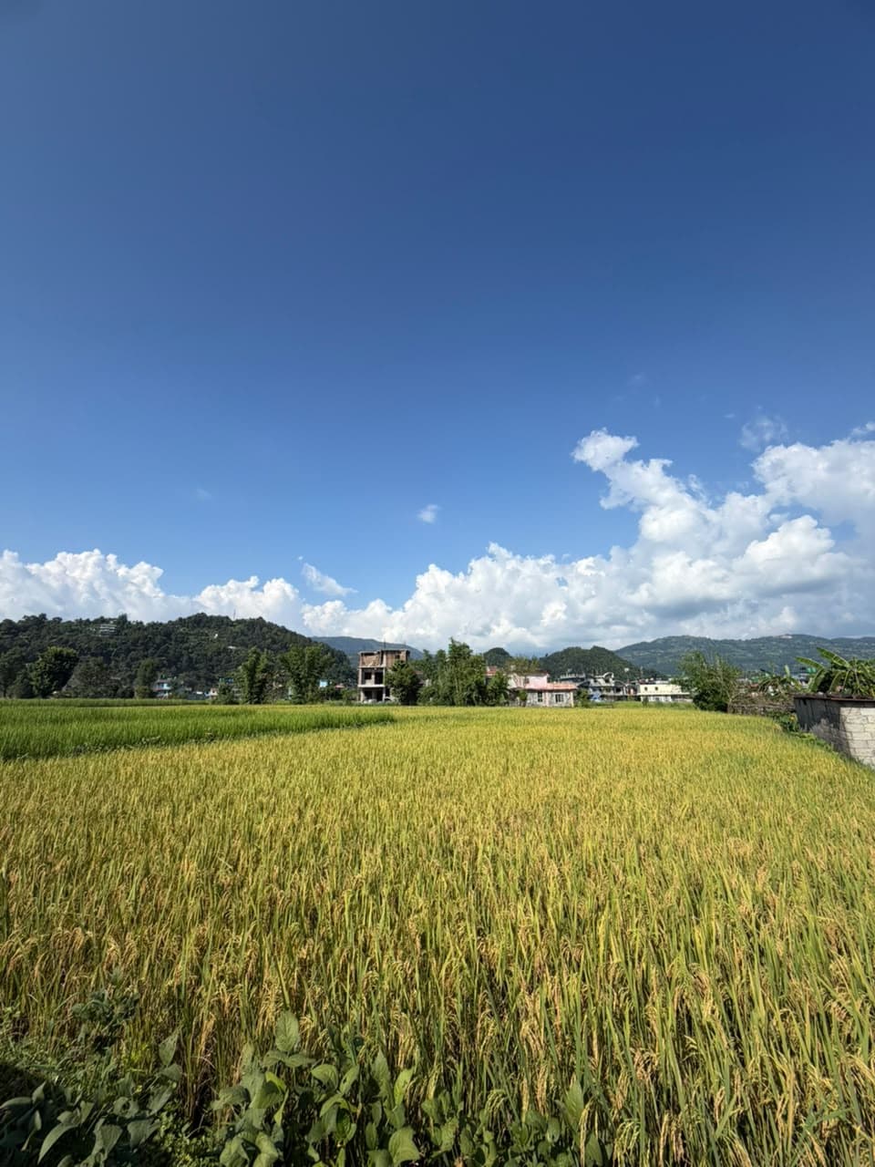 Land for sale in Mohoriya Chowk 