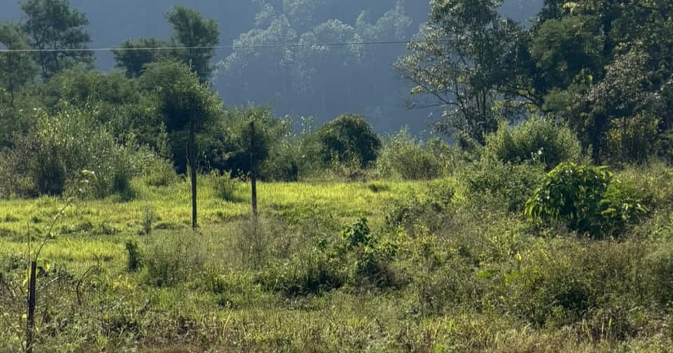 Land for sale in Gagangauda 