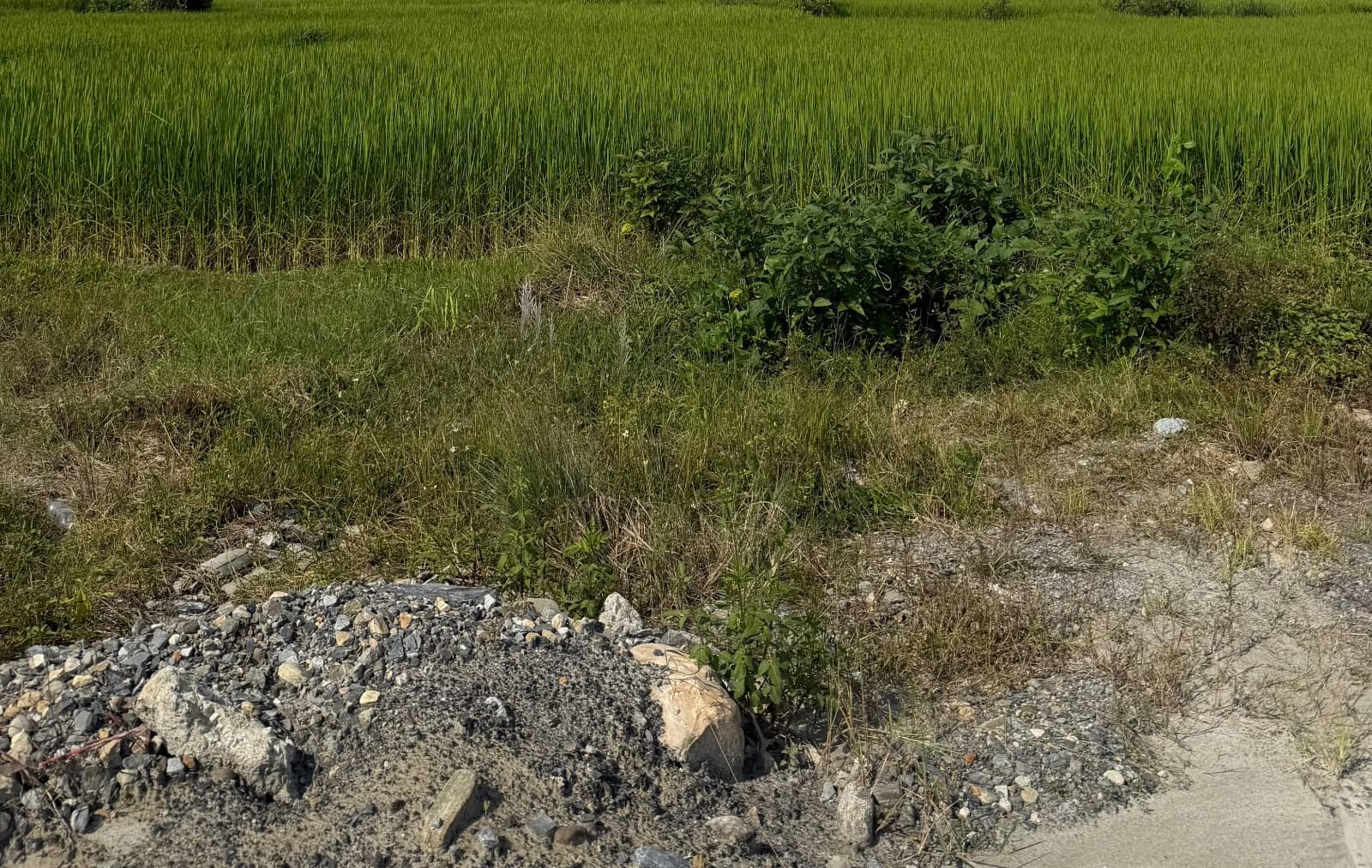 Land for sale in Sishuwa 