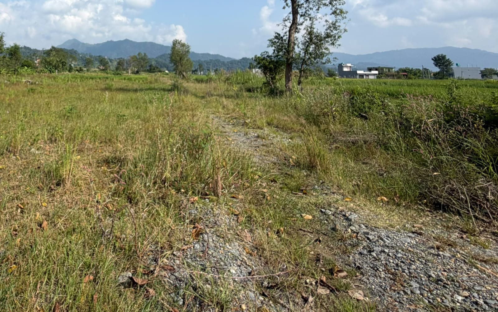 Land for sale in Sishuwa