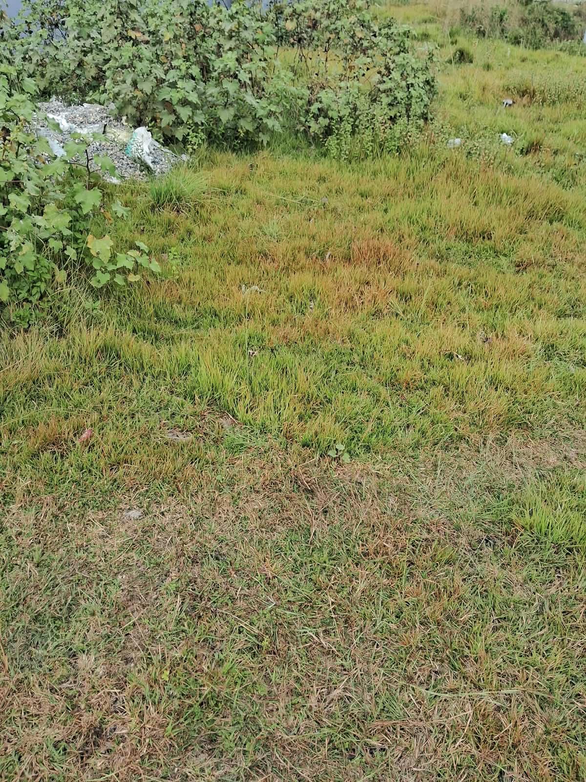 Land for sale in Chinedada 