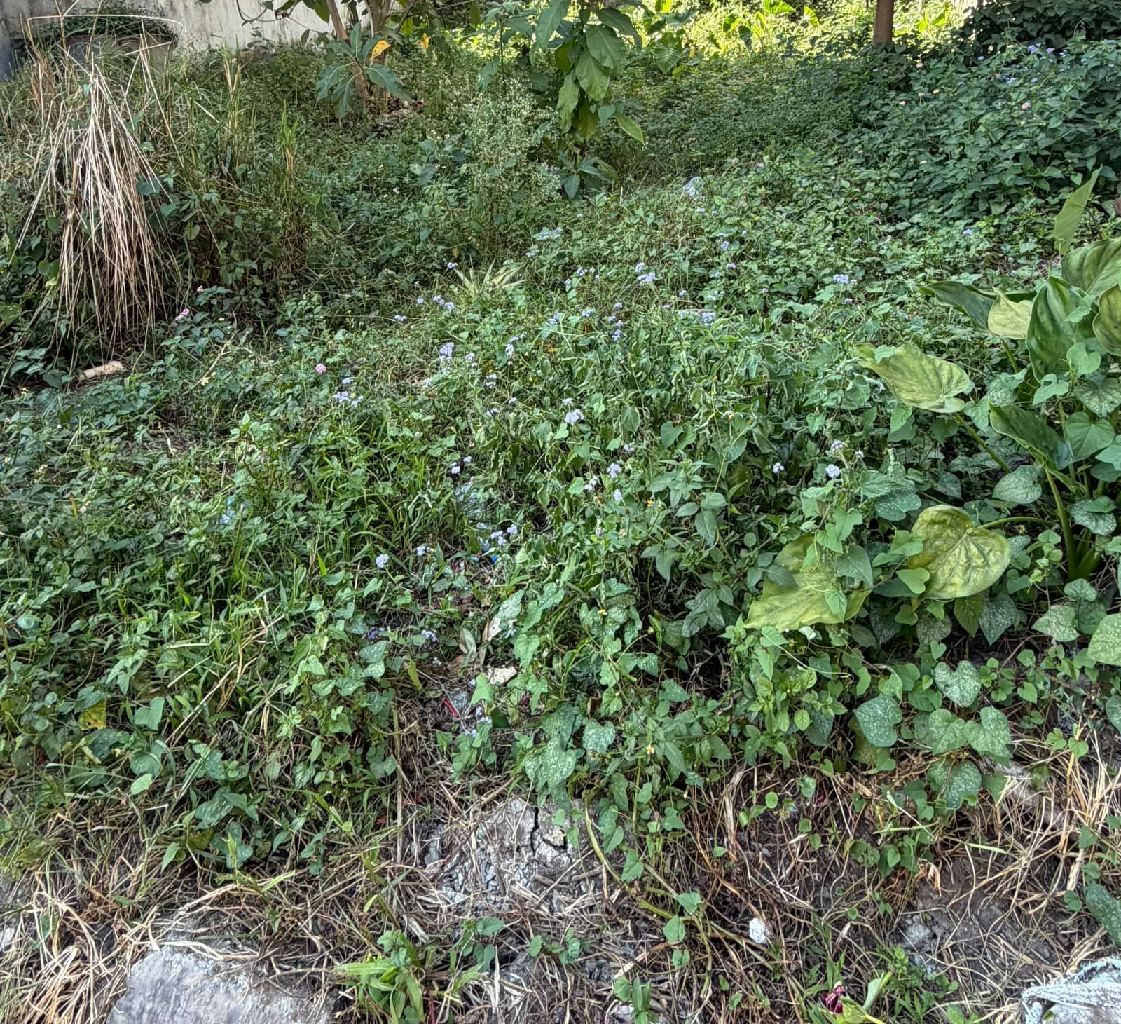 Land for sale in Ratnachowk 