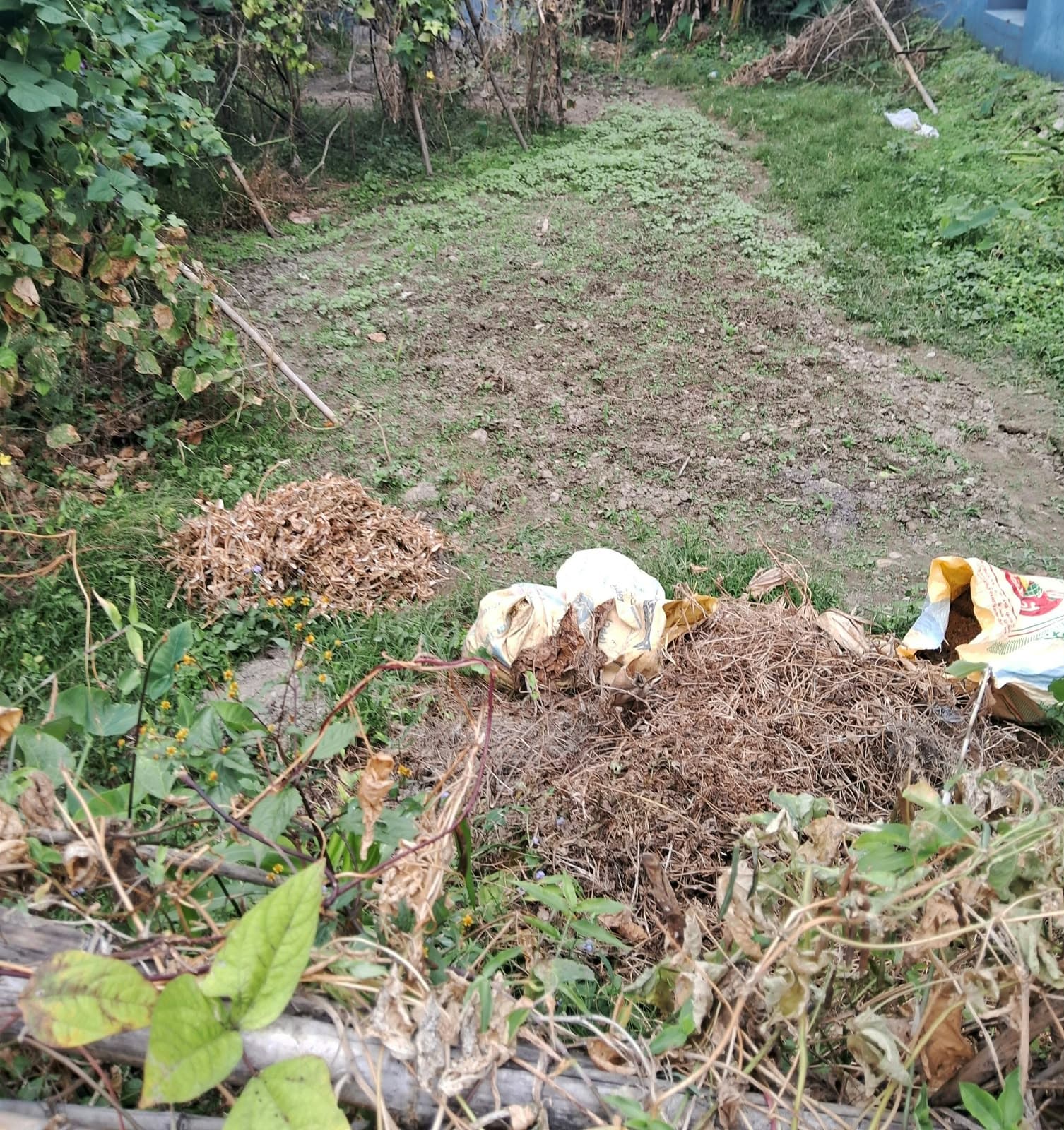 Land for sale in Bijaypur 