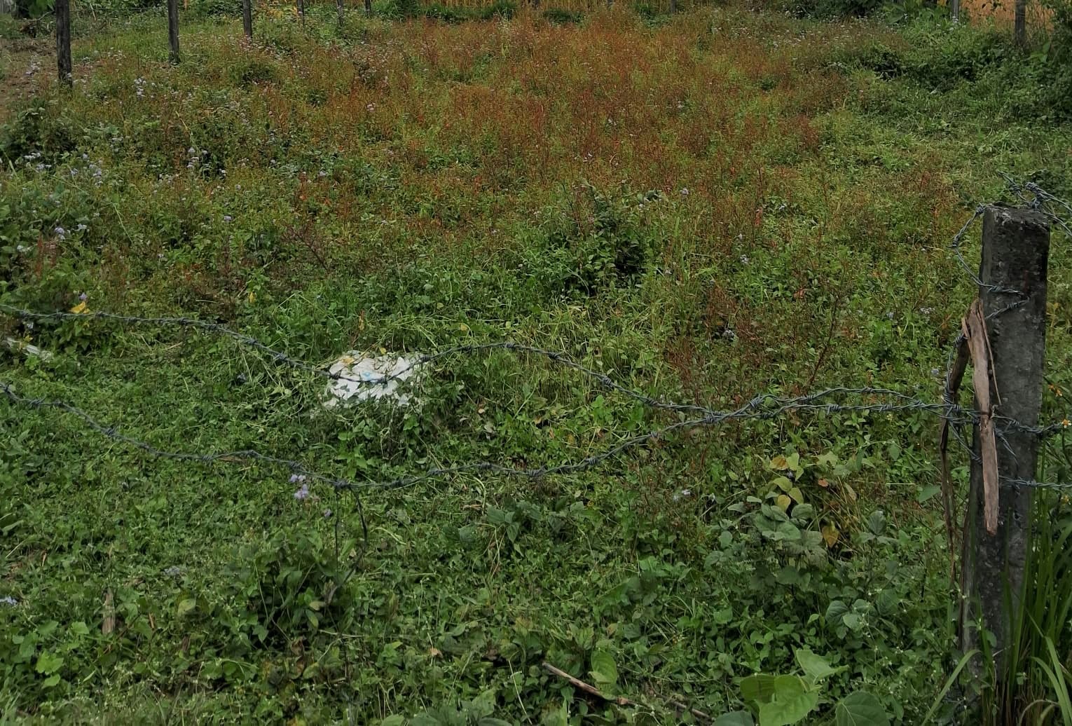Land for sale in Lekhnath 