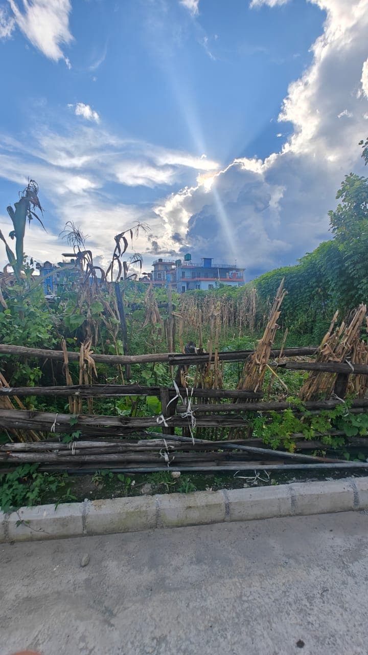 Land for sale in Nayagaun