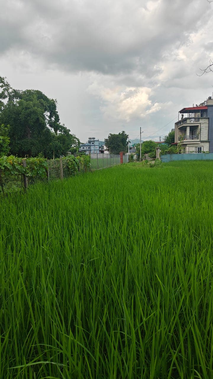 Land for sale in Nayagaun